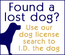Lorain County Dog License Search